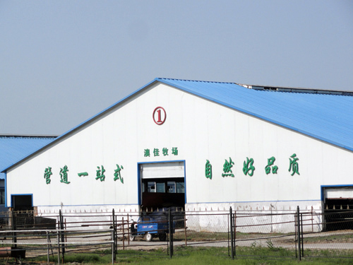中文字幕人妻无码系列第三区